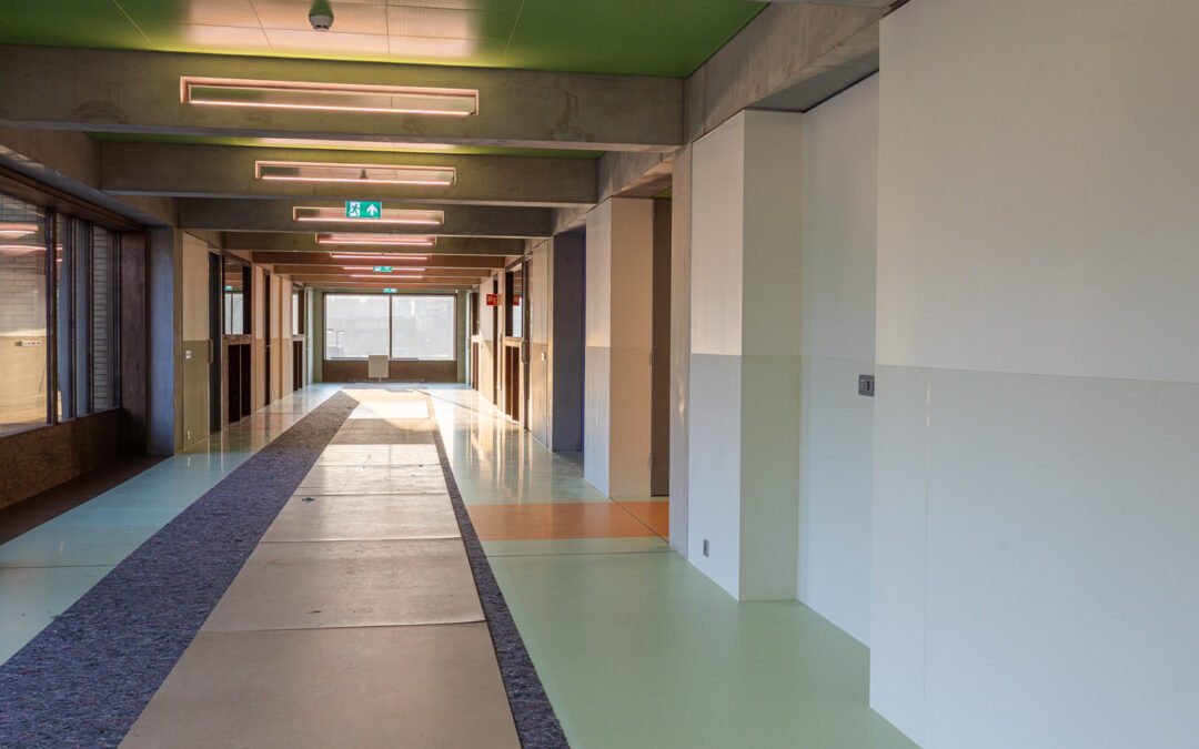 Mapro Orc de Hazelaar